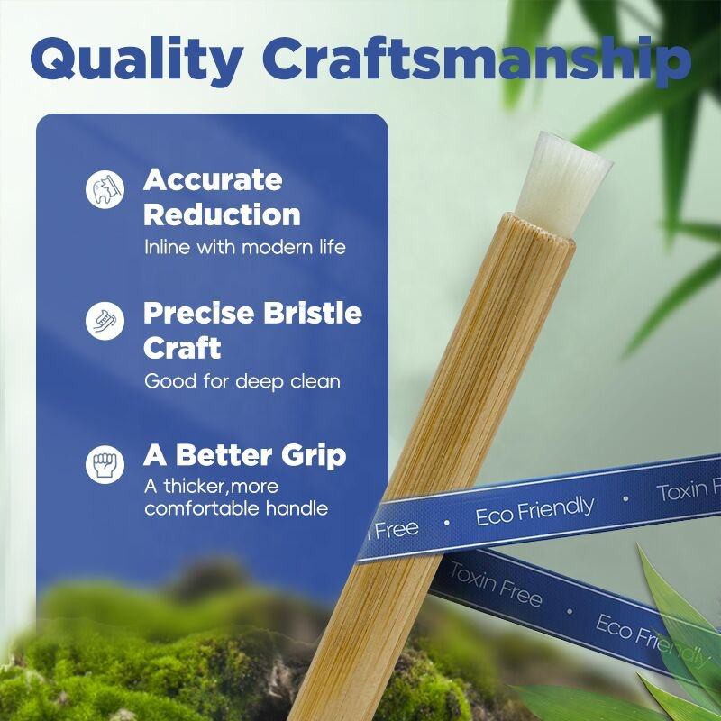 Modern Miswak Toothbrushes